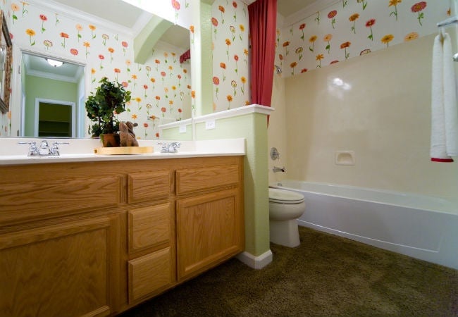 1990s oak bathroom with carpeting