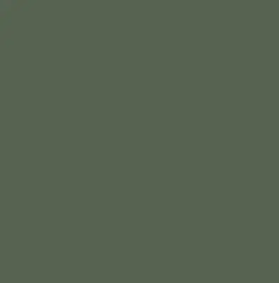 popular green paint color Benjamin Moore Backwoods (CC-630 or 469)