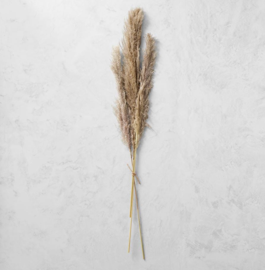 Dried Pampas Bunch, Set of 3