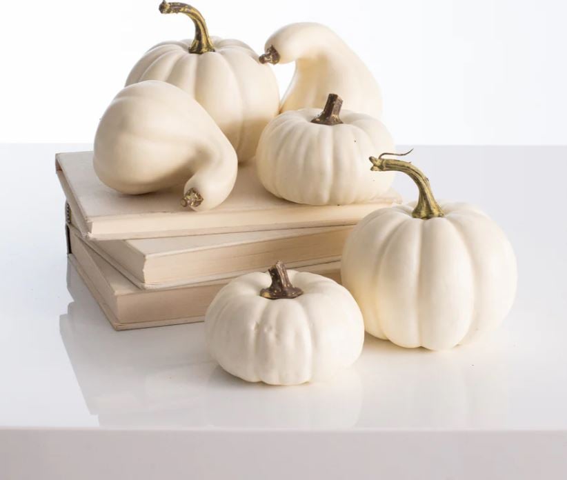 White Cream Pumpkins & Gourds